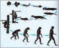 /album/fotogaleria/especie-7-jpg1/